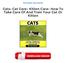 Cats: Cat Care- Kitten Care- How To Take Care Of And Train Your Cat Or Kitten PDF