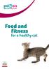 Food and fitness. for a healthy cat