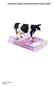 Gert-Jan Verhoef Economic impact of foot disorders in dairy cattle