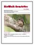 BirdWalk Newsletter. Magnolia Plantation and Gardens Walks Conducted by Perry Nugent and Ray Swagerty Newsletter Written by Jayne J.