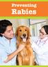 Rabies spreads when an infected animal bites another animal or person, or if their saliva (spit) gets into a scratch or wound, eyes,
