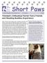 Short Paws. Trinidad s Chihuahua/Terrier Furry Friends and Reading Buddies Experience