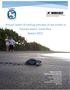 Annual report of nesting activities of sea turtles in Pacuare beach, Costa Rica. Season 2017.