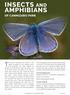 This list of butterflies and moths is not. Acknowledgements. Further reading