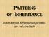 Patterns of Inheritance. What are the different ways traits can be inherited?