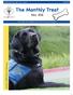 May Josette, D4D Dog-in-Training. The Latest and Greatest with the D4D Pups-in-Training. Puppy Raiser Newsletter