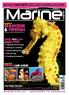 britain s favourite dedicated marine magazine