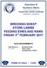 BREEDING SHEEP STORE LAMBS FEEDING EWES AND RAMS FRIDAY 3 rd FEBRUARY 2017