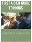 FIRST AID KIT GUIDE FOR DOGS