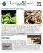Grasshopper Field Guide for Alice Springs