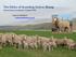The Ethics of breeding Dohne Sheep Dohne Merino Conference, Uruguay Cameron McMaster