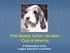 Petit Basset Griffon Vendeen Club of America. A Presentation of the Judges Education Committee