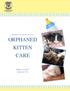 Findings from a national survey on ORPHANED KITTEN CARE. Maddie s Institute SM {September 2013}