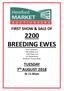 FIRST SHOW & SALE OF 2200 BREEDING EWES. Ewes comprise: 700 Suffolk cross 1200 Texel cross 222 Welsh Mule 40 North Country Mule