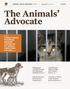 The Animals Advocate