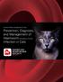Current Feline Guidelines for the. Prevention, Diagnosis, and Management of Heartworm (Dirofilaria immitis) Infection in Cats
