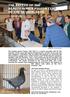 THE BREEDS OF THE BEAUTY HOMER PIGEON CLUB OF THE NETHERLANDS