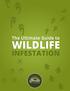The Ultimate Guide to WILDLIFE INFESTATION
