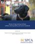 Review of dog training methods: welfare, learning ability, and current standards
