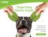 Vegan Dog Starter Guide. Everything you need to know about your dog s new diet
