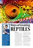 reptiles Ways of treating