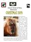Devon Horse & Pony Sanctuary CHRISTMAS 2014