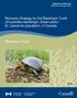 Recovery Strategy for the Blanding s Turtle (Emydoidea blandingii), Great Lakes / St. Lawrence population, in Canada
