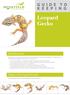Leopard Gecko GUIDE TO. Introduction. Types of Leopard Gecko