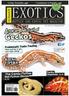 Geckos Care, Breeding & Morphs
