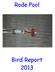 Rode Pool Bird Report 2013