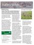 Valley Wilds. Issue. Barking Dog. By Ranger Vickie Eggert. July A publication of the LARPD Open Space Unit