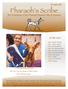 Pharaoh s Scribe The Newsletter of the Pharaoh Hound Club of America