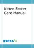 Kitten Foster Care Manual