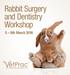 Rabbit Surgery and Dentistry Workshop. 5 6th March 2016
