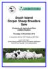 South Island Dorper Sheep Breeders Sale