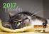 Calendar. Cat Welfare Society Inc trading as Cat Haven