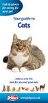 Full of advice for caring for your pet. Your guide to Cats. Jollyes, only the best for you and your pets.