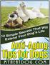 Anti-Aging Tips for Dogs. 12 Simple Secrets That Will Extend Your Dog s Life