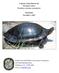 A Species Action Plan for the Suwannee Cooter Pseudemys concinna suwanniensis Final Draft November 1, 2013