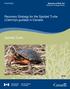 Recovery Strategy for the Spotted Turtle (Clemmys guttata) in Canada