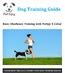 Dog Training Collar Introduction