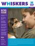 ISSUE IN THIS. Summer Camp Humane Spectacular. What you need to know about fleas and ticks. Toby & Trooper, amazing medical rescue survivors