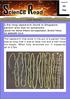 Science Read. 06 Feb. 2.8m-long tapeworm found in Singapore patient who had no symptoms
