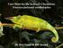 Care Sheet for the Jackson s Chameleon Trioceros jacksonii xantholophus. By Petr Necas & Bill Strand
