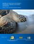 REPORT OF THE GULF OF FONSECA HAWKSBILL PROJECT IN PACIFIC HONDURAS
